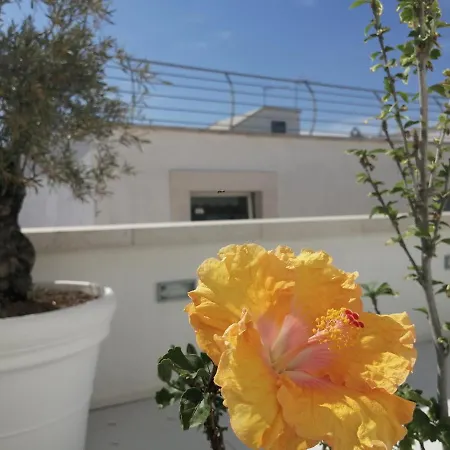Re Palazzo Muscati Bed & Breakfast Molfetta